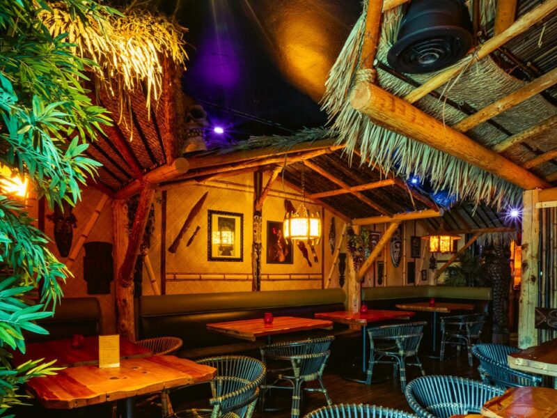 The Jungle Bird